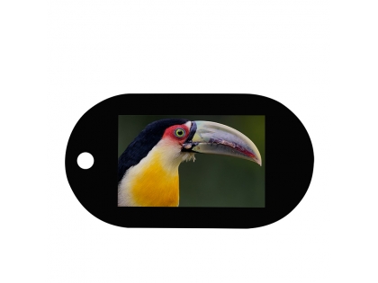 10.1寸液晶屏 帶電容觸摸 800*1280分辨率 40pin MIPI接口 TFT LCD液晶總成